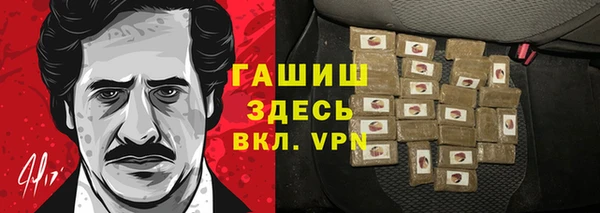 индика Беломорск