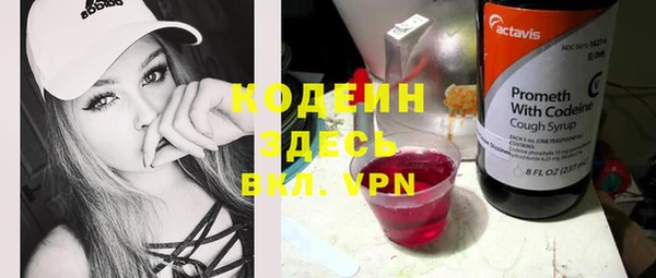 индика Беломорск