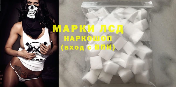 индика Беломорск