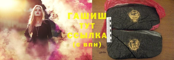 индика Беломорск