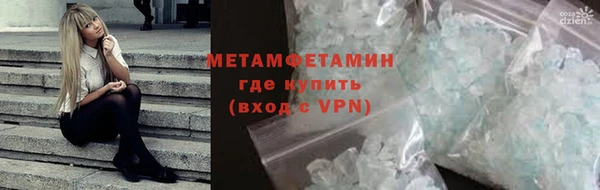прущие грибы Белокуриха
