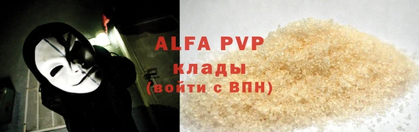 индика Беломорск