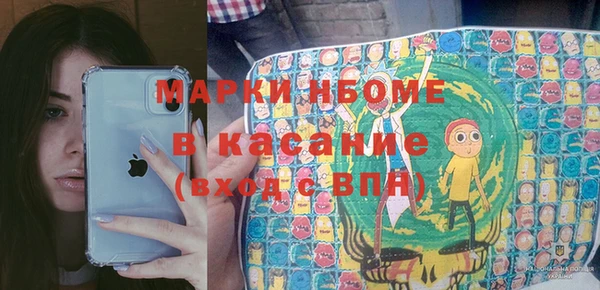 прущие грибы Белокуриха