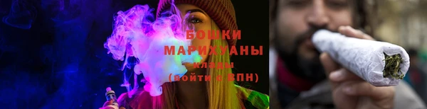 индика Беломорск