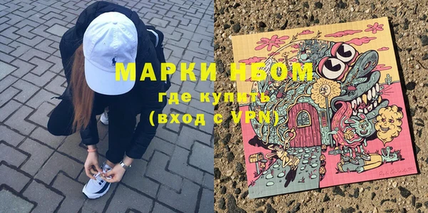 индика Беломорск