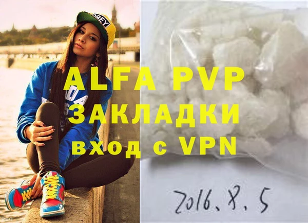 прущие грибы Белокуриха
