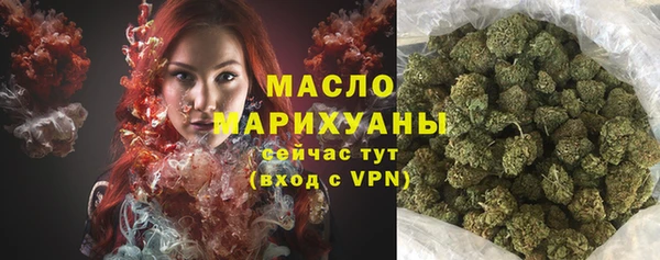 индика Беломорск