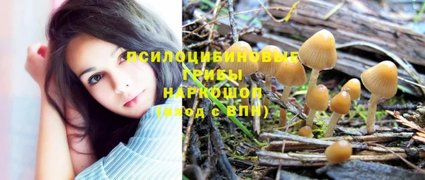 первитин Белоозёрский