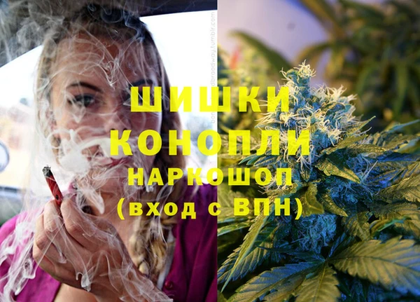 прущие грибы Белокуриха