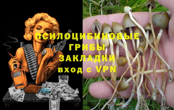 прущие грибы Белокуриха