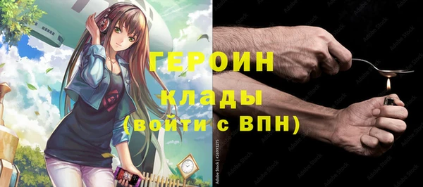 индика Беломорск