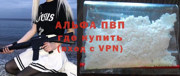 прущие грибы Белокуриха