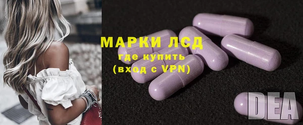 индика Беломорск