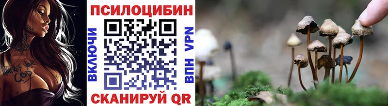 Галлюциногенные грибы мицелий Городец